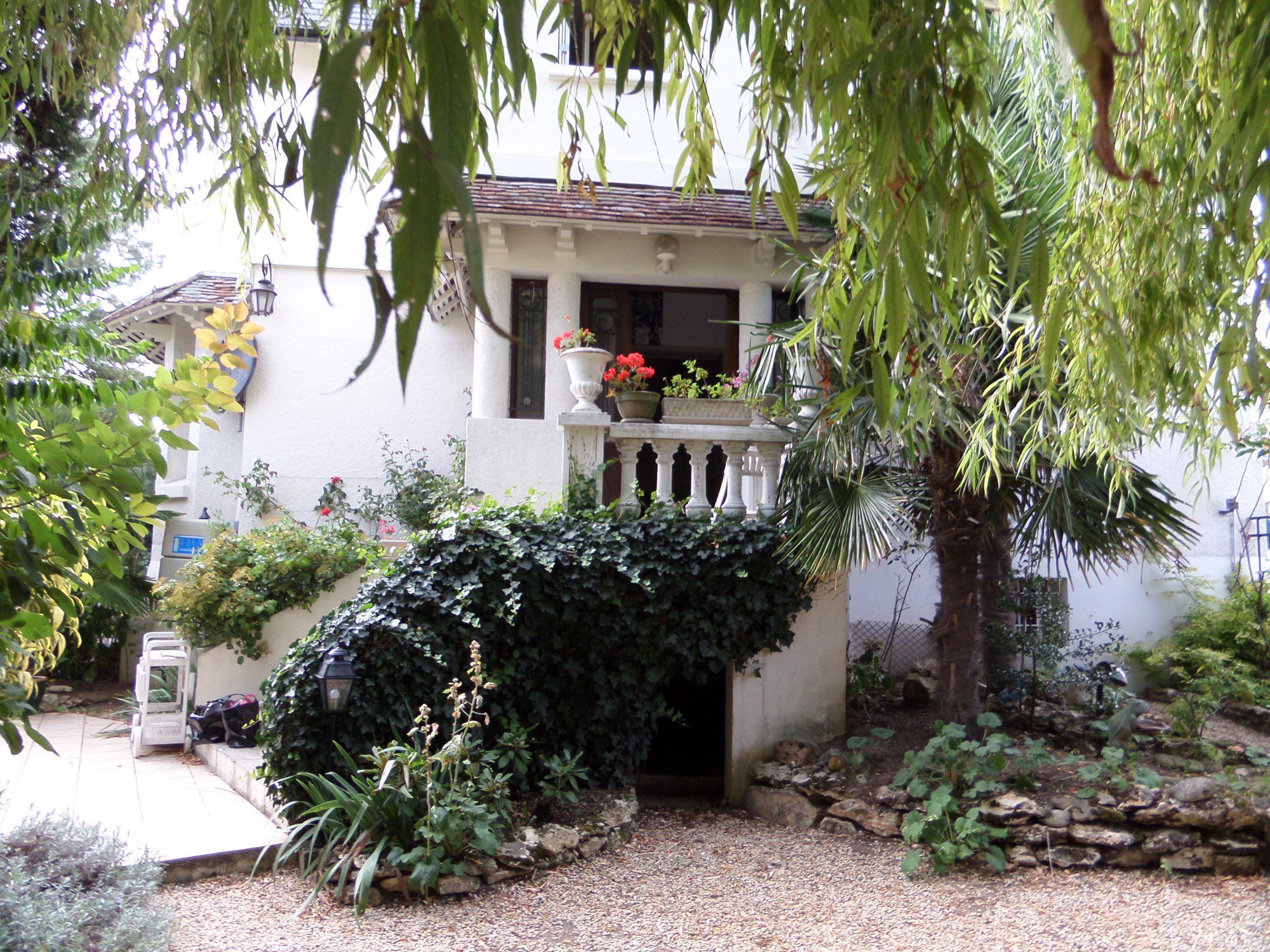 SAMSUNG CAMERA PICTURES