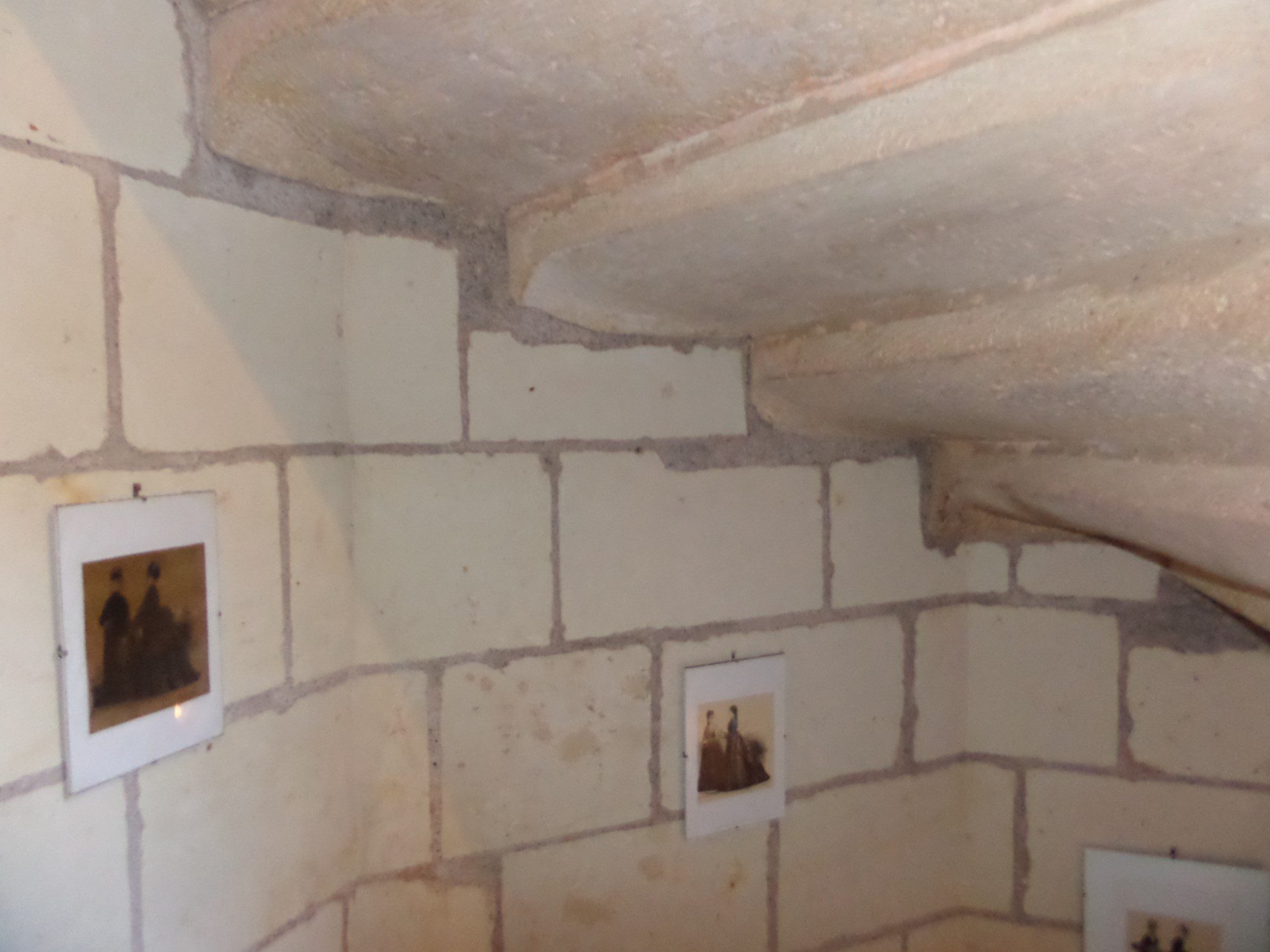 SAMSUNG CAMERA PICTURES