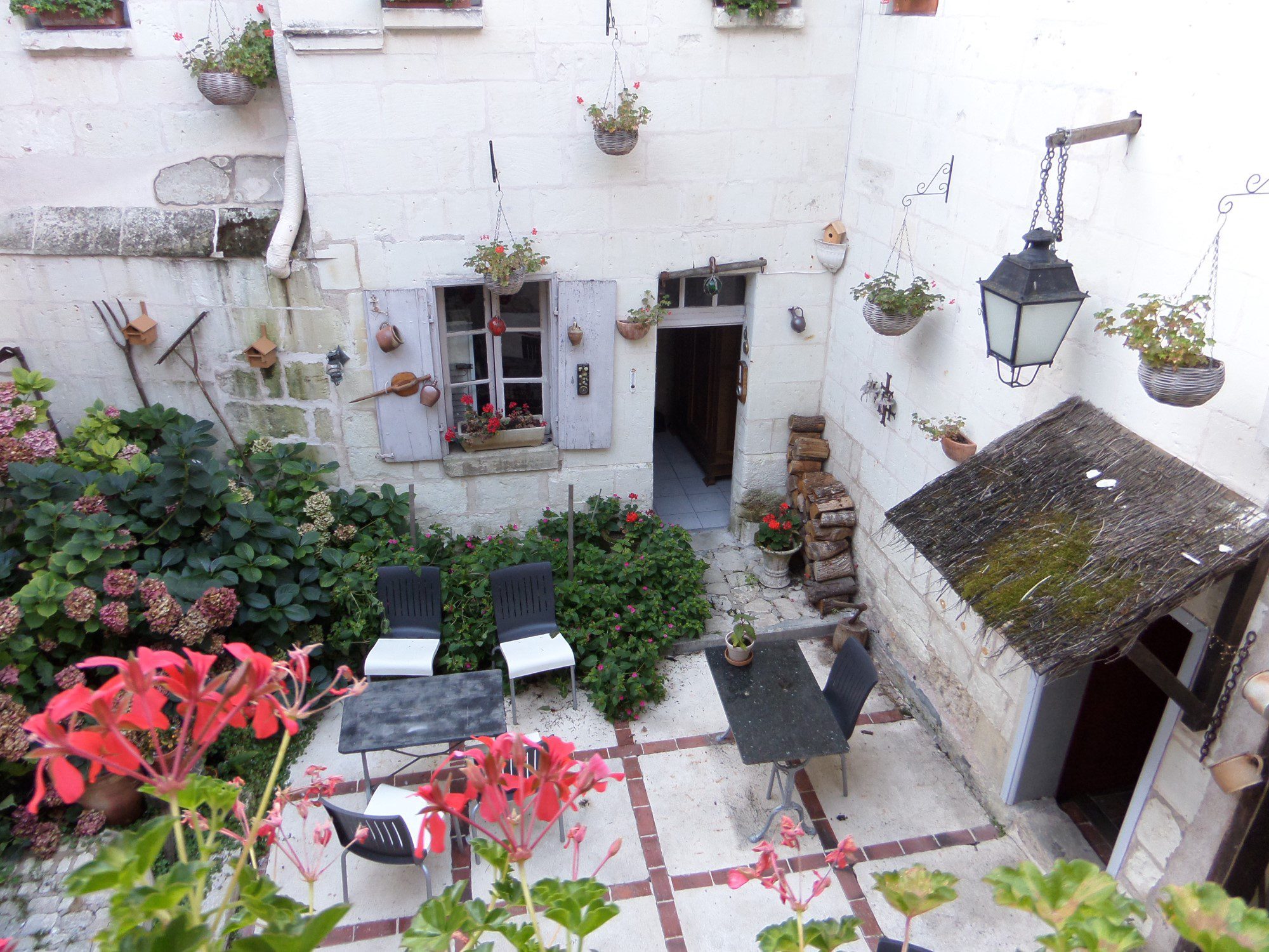 SAMSUNG CAMERA PICTURES