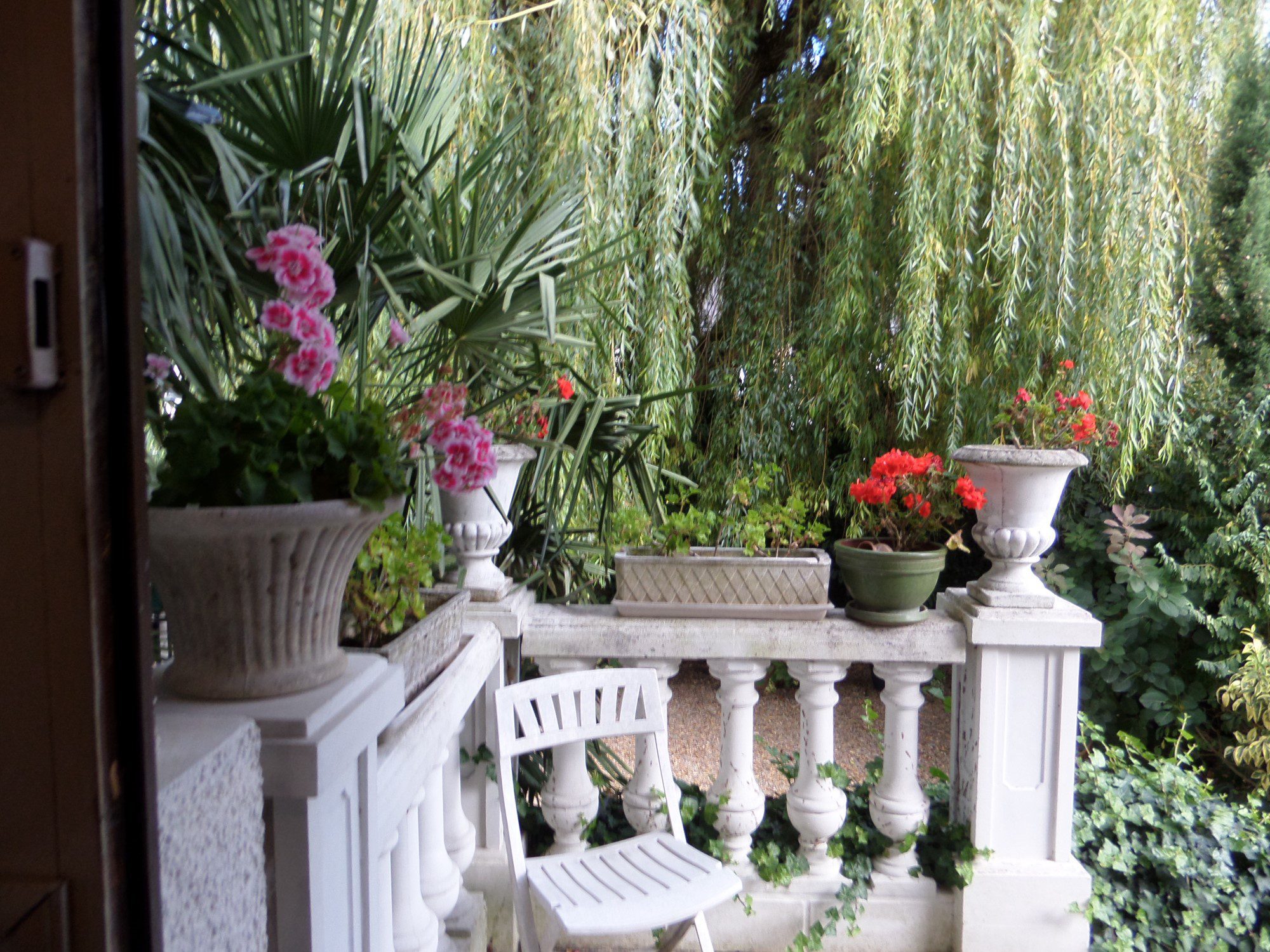 SAMSUNG CAMERA PICTURES