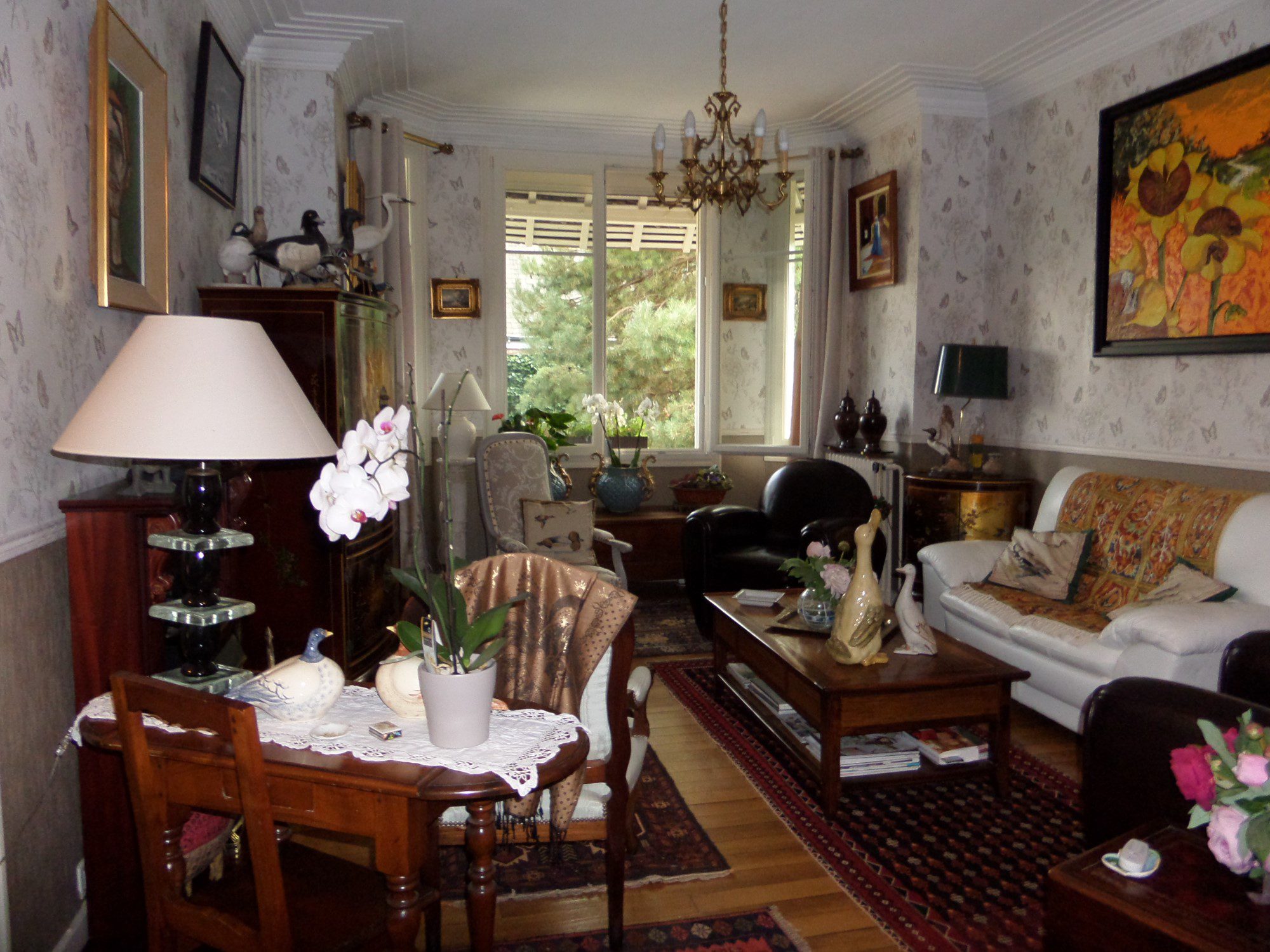 SAMSUNG CAMERA PICTURES