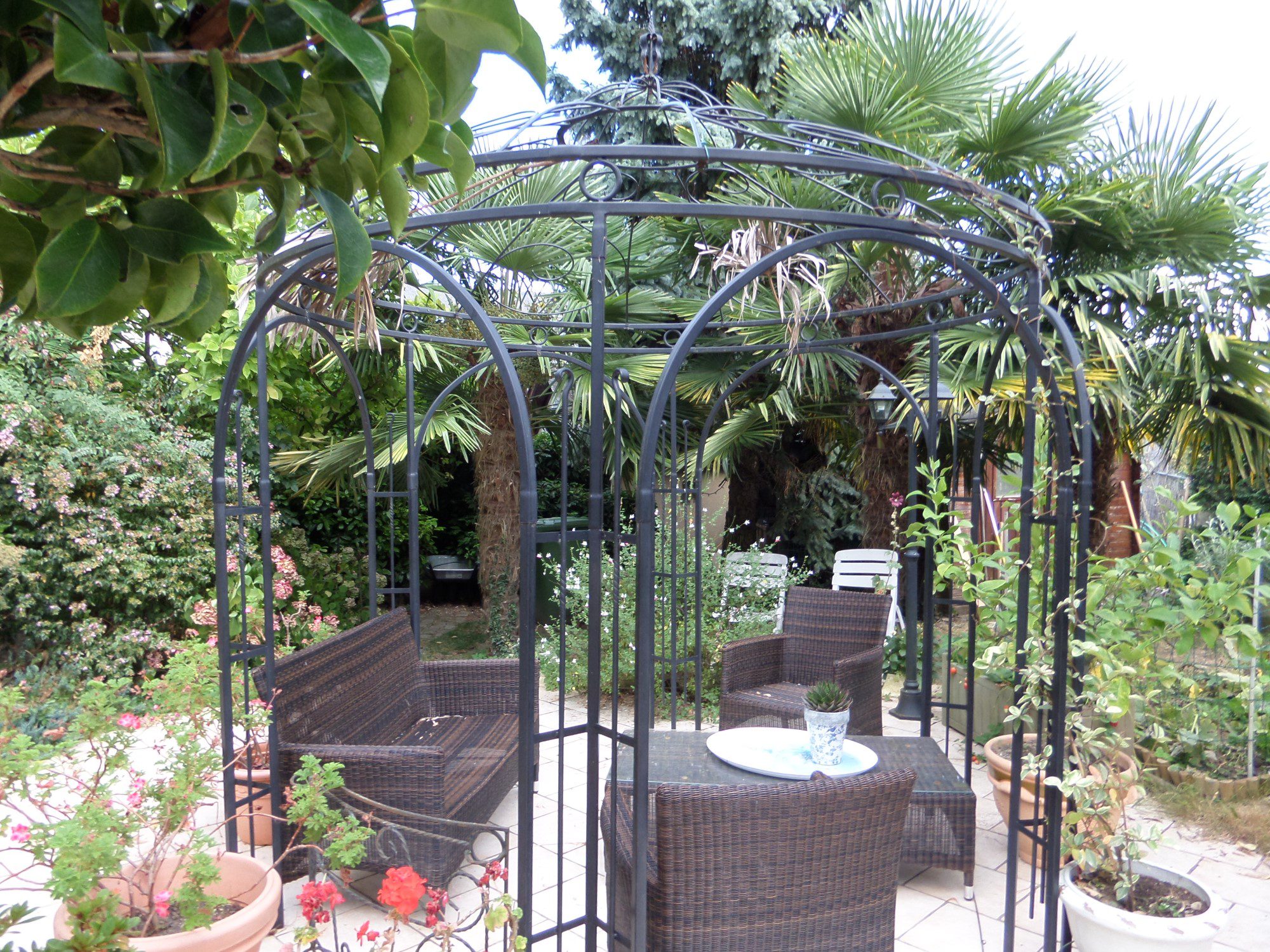 SAMSUNG CAMERA PICTURES