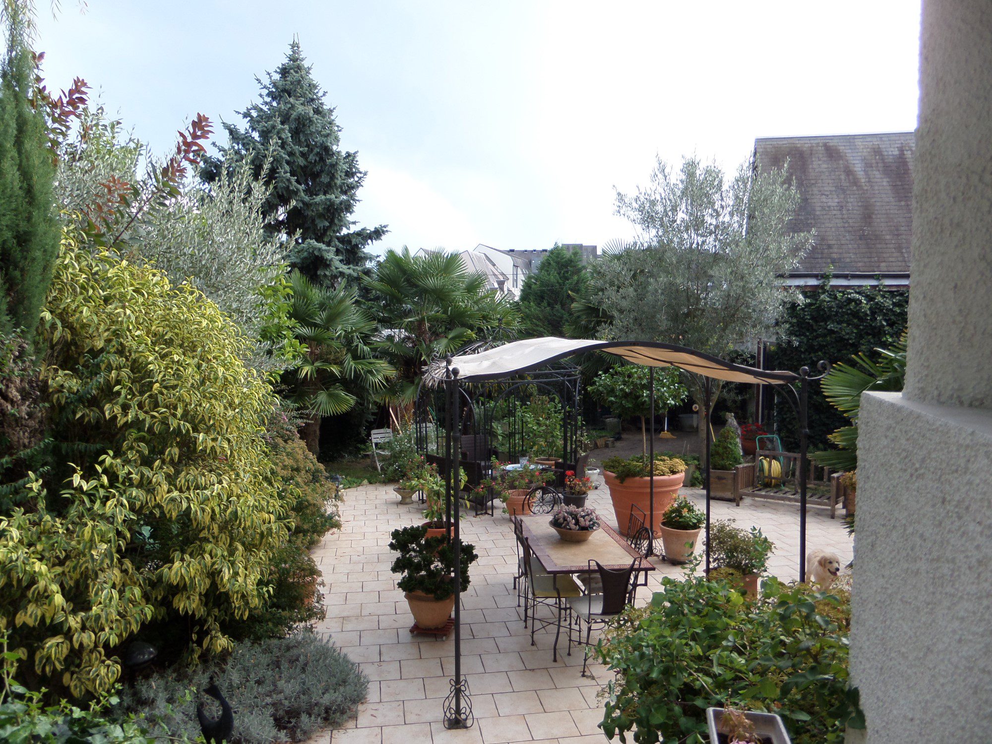 SAMSUNG CAMERA PICTURES