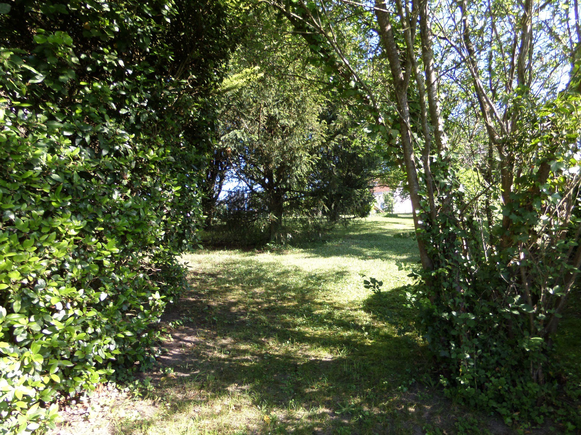 SAMSUNG CAMERA PICTURES