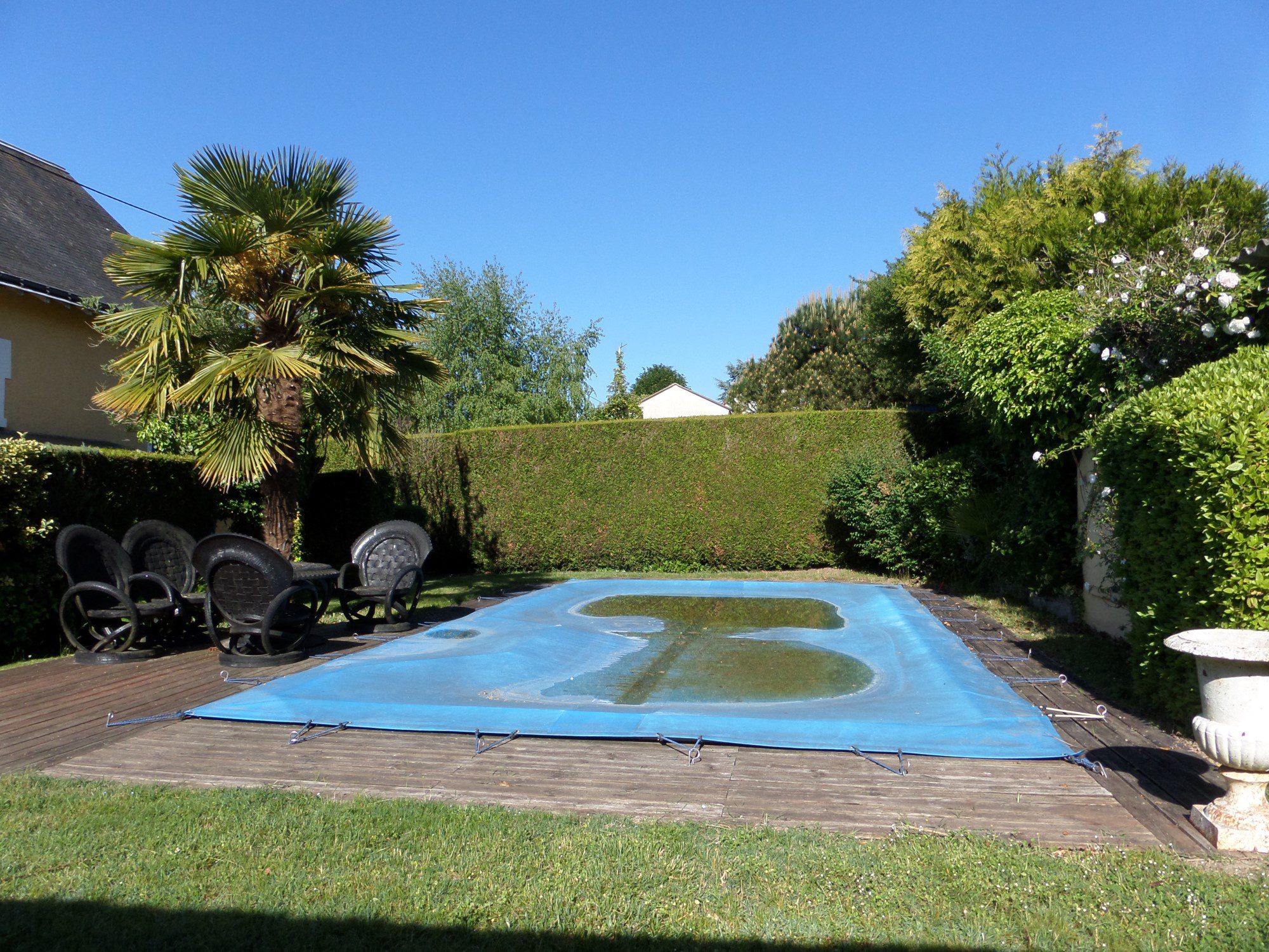 SAMSUNG CAMERA PICTURES