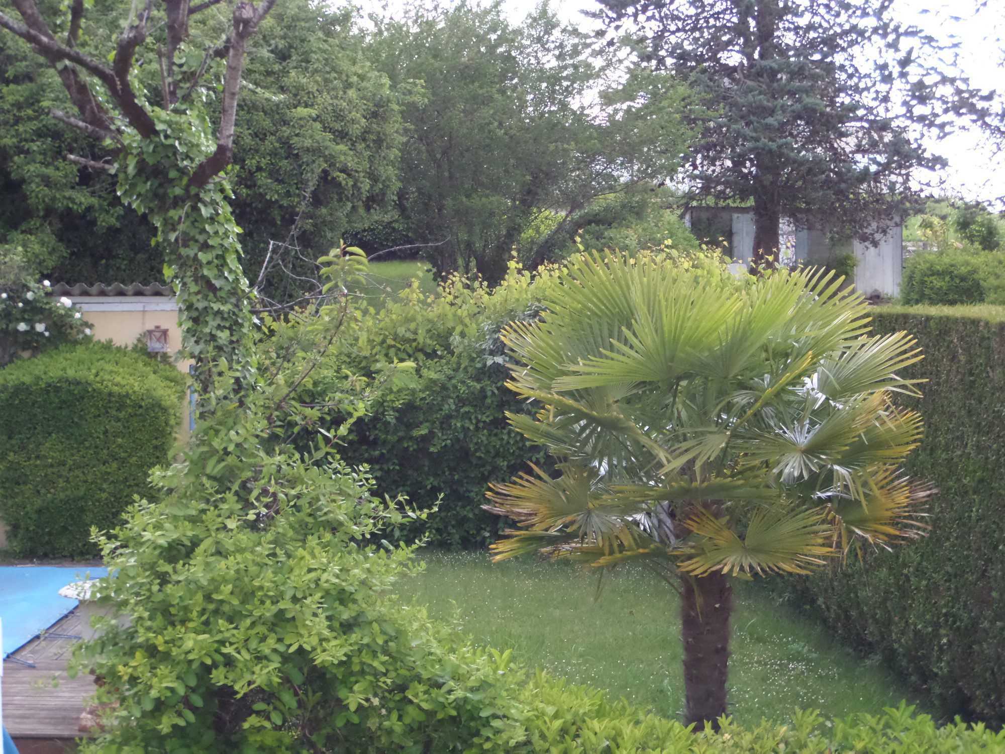 SAMSUNG CAMERA PICTURES