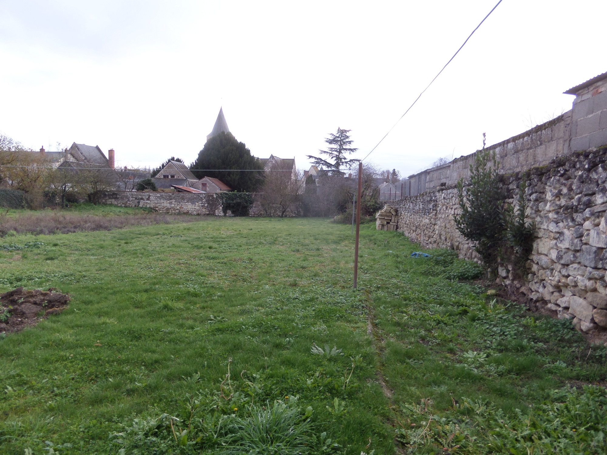 SAMSUNG CAMERA PICTURES