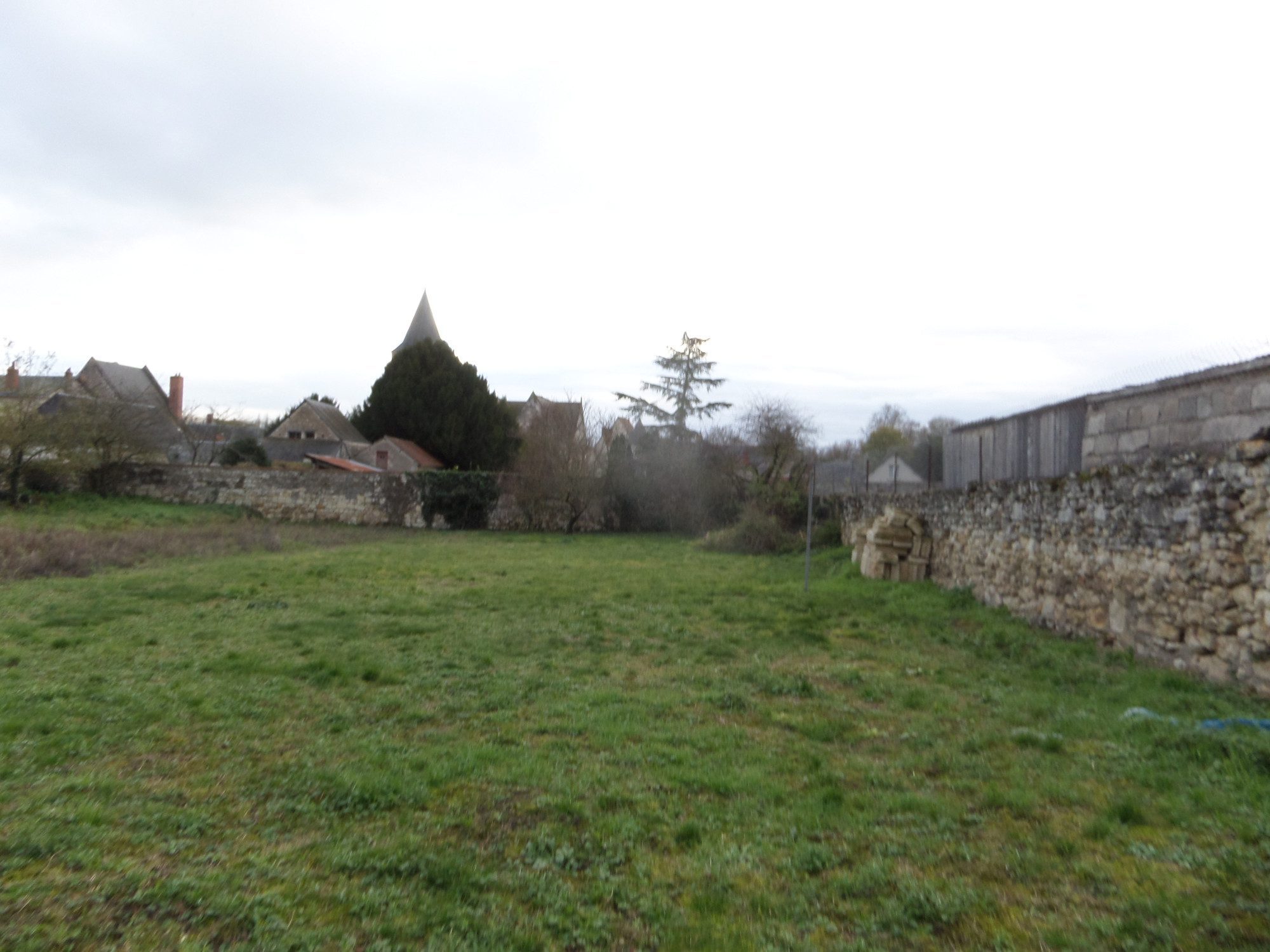 SAMSUNG CAMERA PICTURES