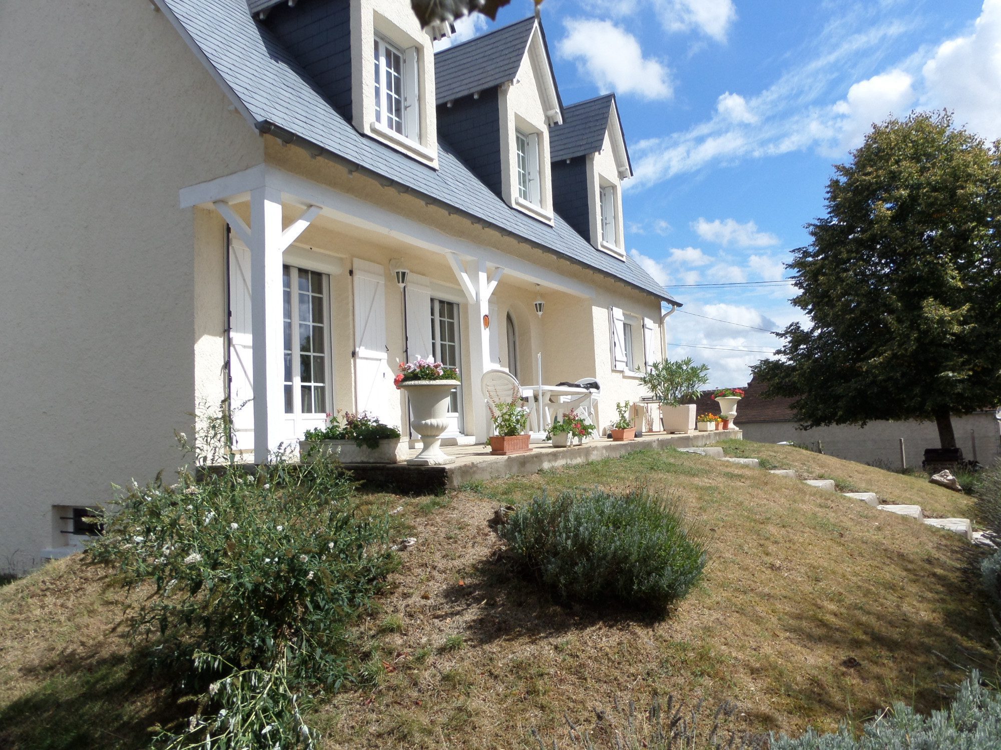 SAMSUNG CAMERA PICTURES