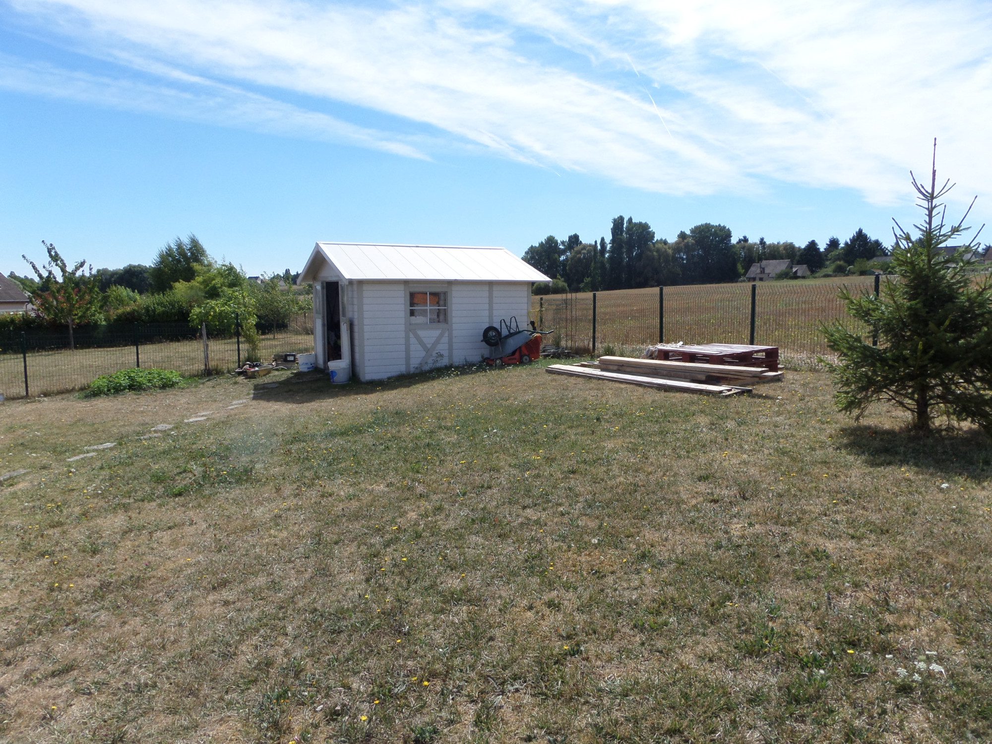 SAMSUNG CAMERA PICTURES