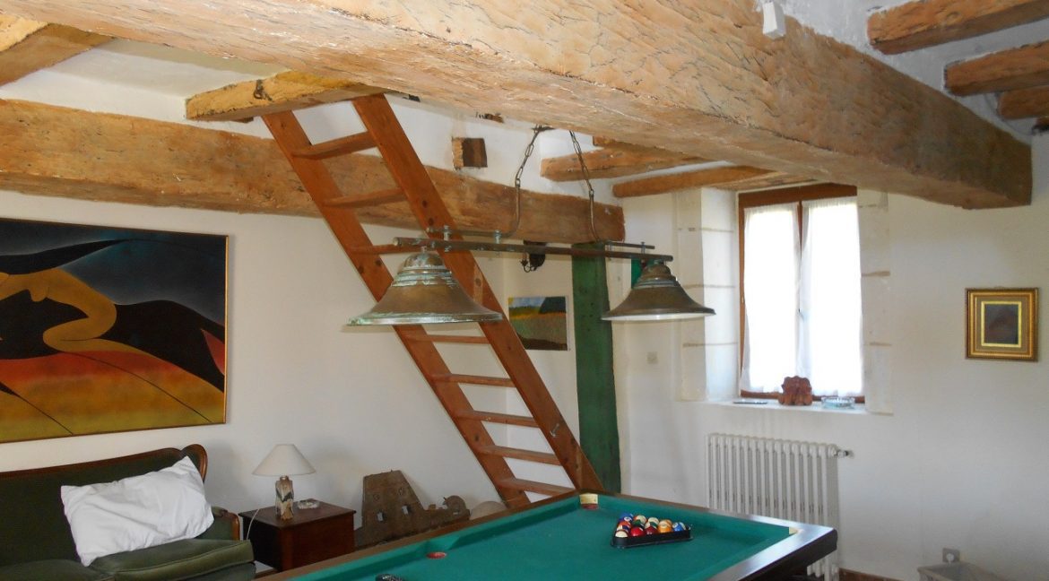 maison principale salon 1