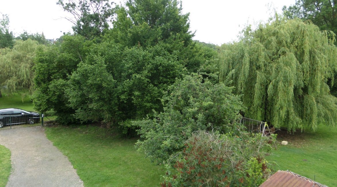 SAMSUNG CAMERA PICTURES