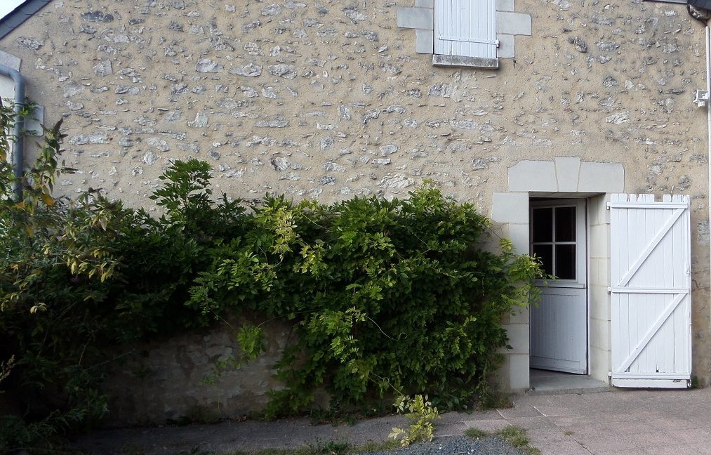 SAMSUNG CAMERA PICTURES