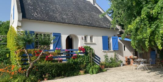 Belle Maison sur sous-sol A TRUYES