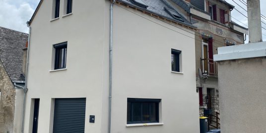 A VENDRE A TOURS (nord )